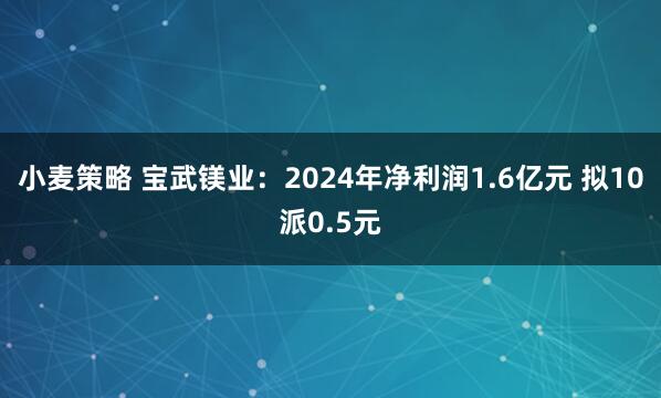 小麦策略 宝武镁业：2024年净利润1.6亿元 拟10派0.5元