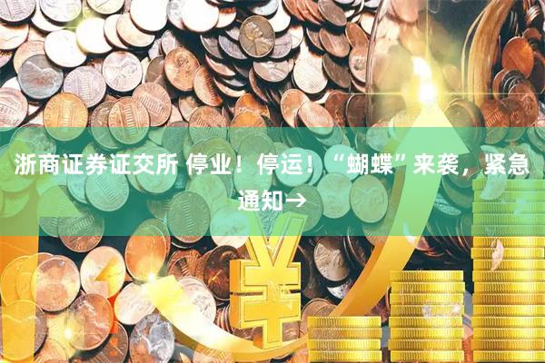浙商证券证交所 停业！停运！“蝴蝶”来袭，紧急通知→