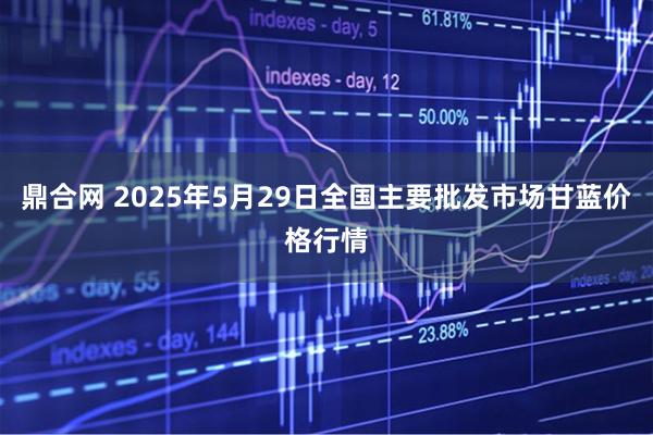 鼎合网 2025年5月29日全国主要批发市场甘蓝价格行情