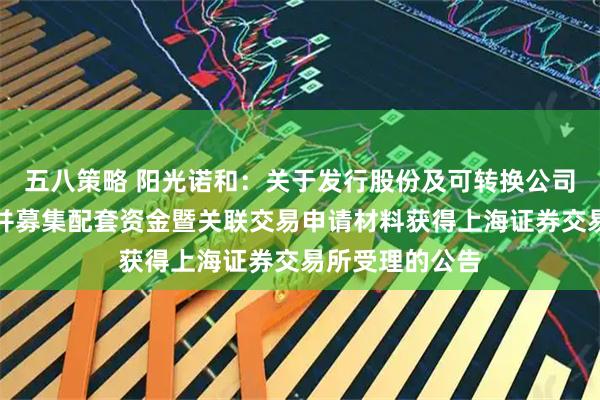 五八策略 阳光诺和：关于发行股份及可转换公司债券购买资产并募集配套资金暨关联交易申请材料获得上海证券交易所受理的公告